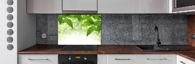 Glazen achterwand keuken Groene bladeren