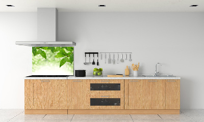 Glazen achterwand keuken Groene bladeren