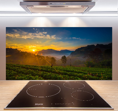 Panel do kuchni Plantacja herbaty