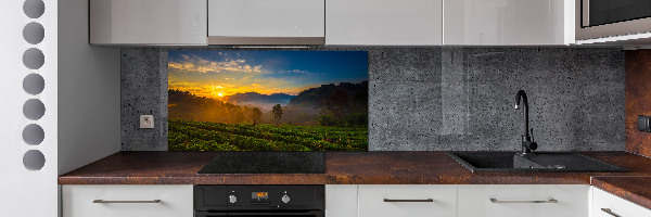 Panel do kuchni Plantacja herbaty