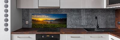 Spatplaat keuken theeplantage