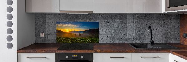 Spatplaat keuken theeplantage