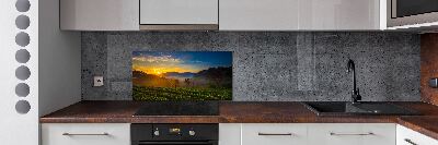 Spatplaat keuken theeplantage