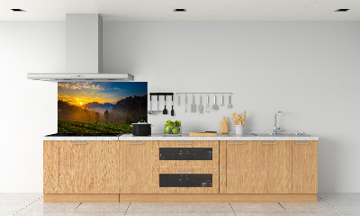 Panel do kuchni Plantacja herbaty