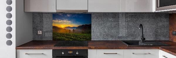 Spatplaat keuken theeplantage