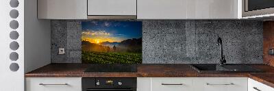 Panel do kuchni Plantacja herbaty