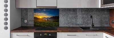 Spatplaat keuken theeplantage