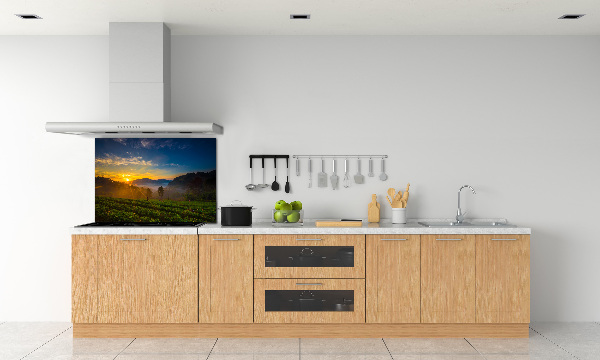 Spatplaat keuken theeplantage
