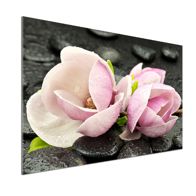 Spatscherm keuken Magnolia zensteen