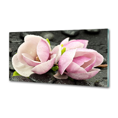 Spatscherm keuken Magnolia zensteen