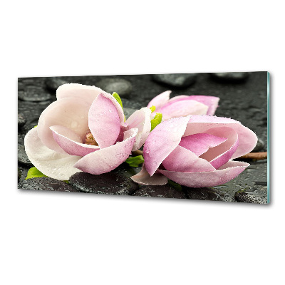 Spatscherm keuken Magnolia zensteen
