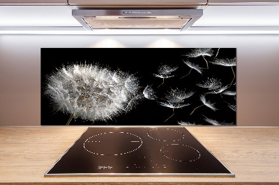 Spatplaat keuken Paardebloem