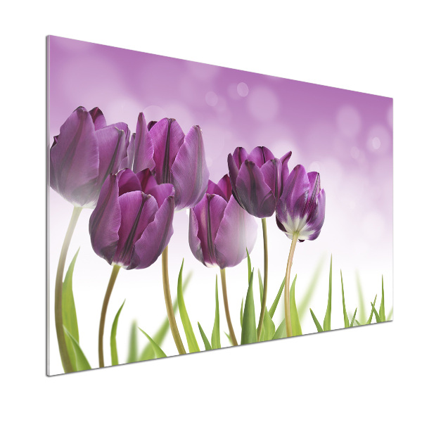 Keuken achterwand Paarse tulpen