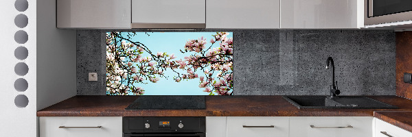 Glazen achterwand keuken Magnolia bloemen