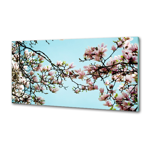 Glazen achterwand keuken Magnolia bloemen