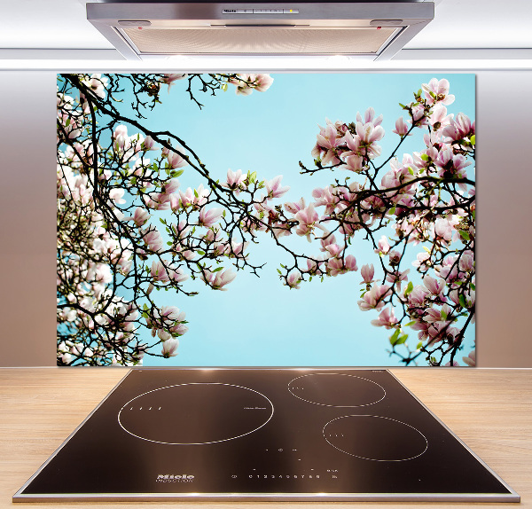 Glazen achterwand keuken Magnolia bloemen
