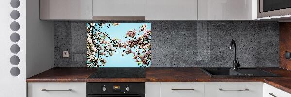 Glazen achterwand keuken Magnolia bloemen
