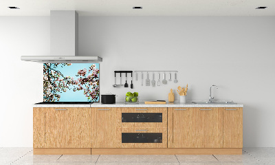 Glazen achterwand keuken Magnolia bloemen
