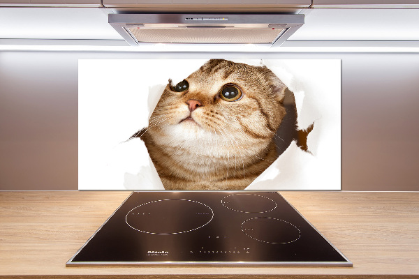 Glazen achterwand keuken Kat