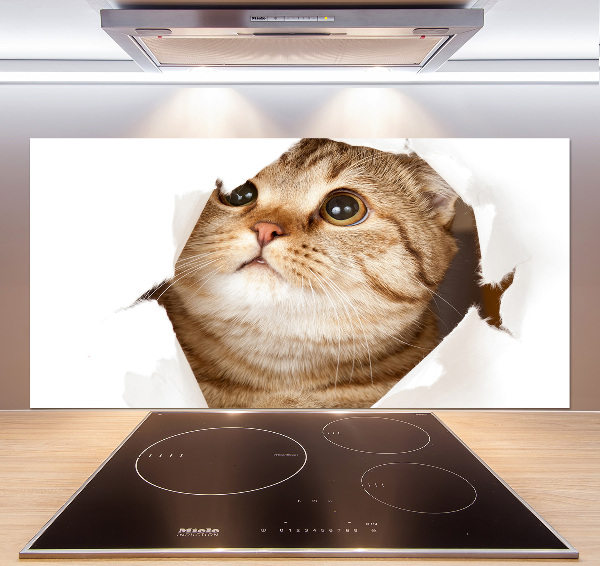 Glazen achterwand keuken Kat