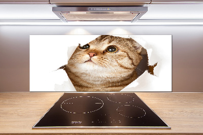 Glazen achterwand keuken Kat