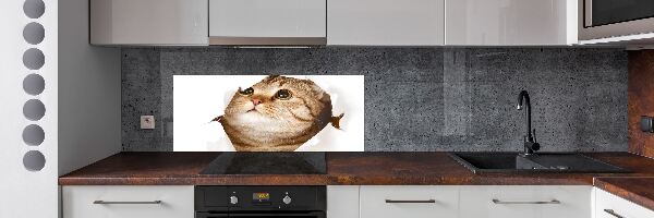 Glazen achterwand keuken Kat