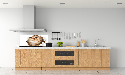 Glazen achterwand keuken Kat