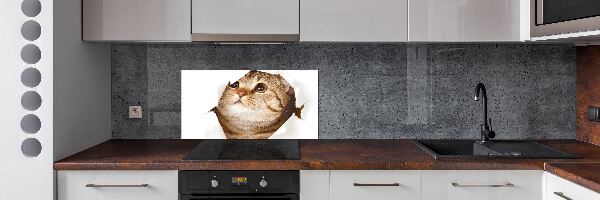 Glazen achterwand keuken Kat