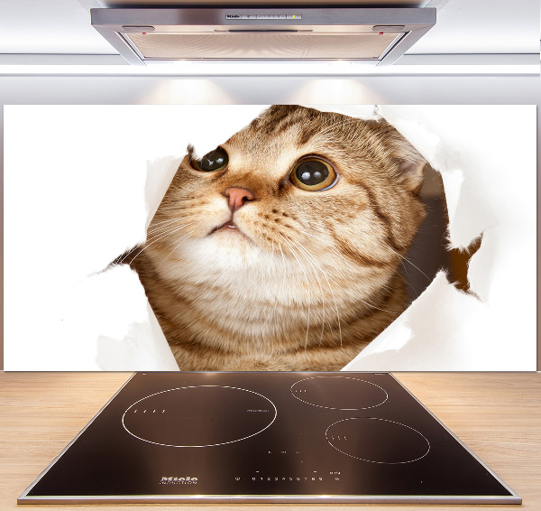 Glazen achterwand keuken Kat