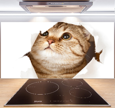 Glazen achterwand keuken Kat