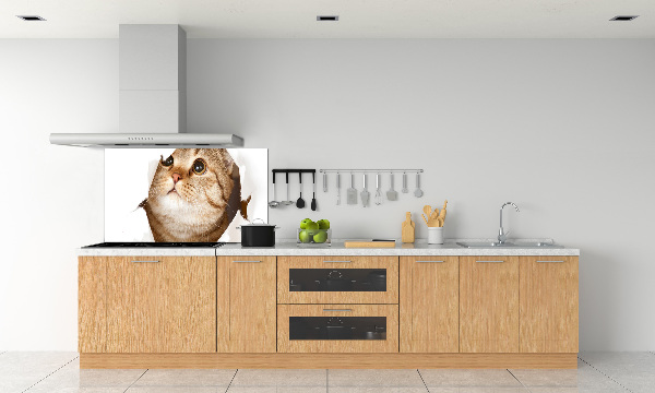 Glazen achterwand keuken Kat