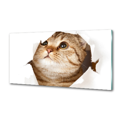 Glazen achterwand keuken Kat