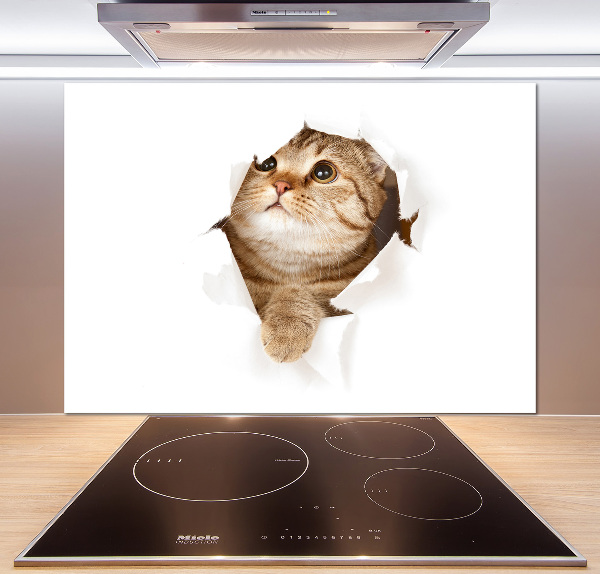 Glazen achterwand keuken Kat