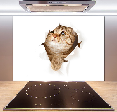 Glazen achterwand keuken Kat