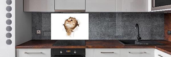 Glazen achterwand keuken Kat