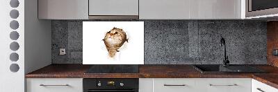 Glazen achterwand keuken Kat