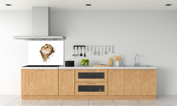 Glazen achterwand keuken Kat