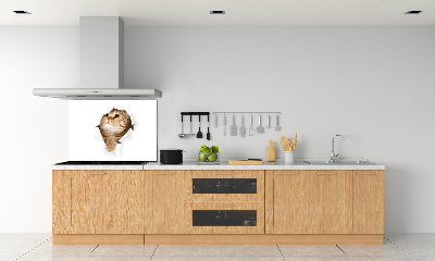 Glazen achterwand keuken Kat