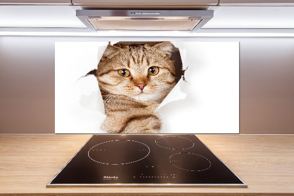 Achterwand keuken Kat