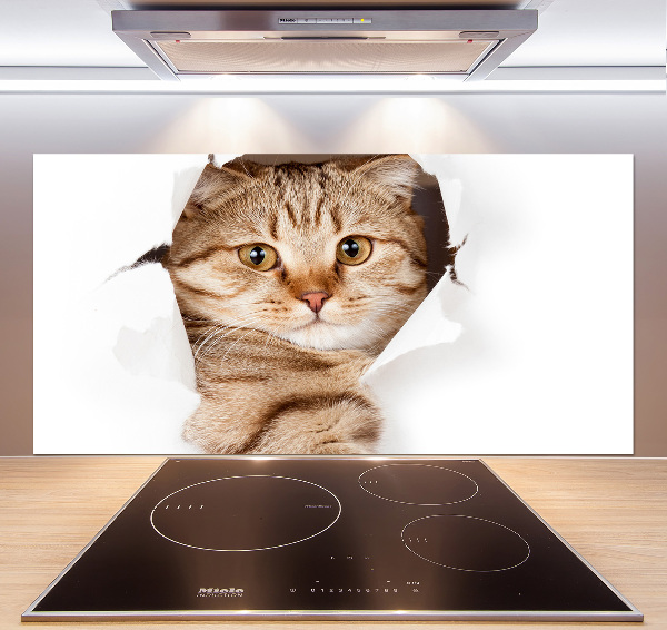 Achterwand keuken Kat