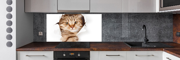 Achterwand keuken Kat
