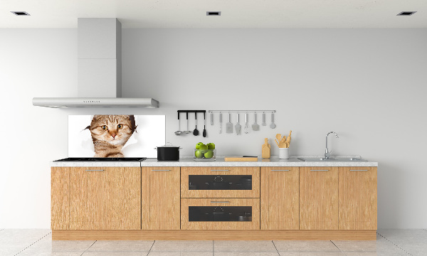 Achterwand keuken Kat