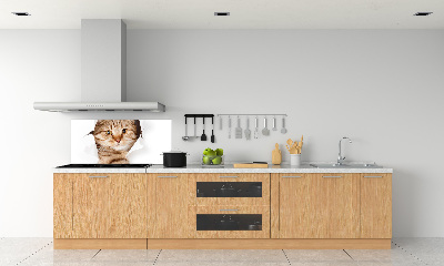 Achterwand keuken Kat
