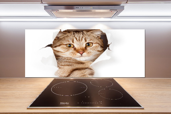 Achterwand keuken Kat