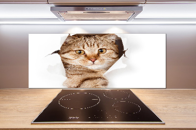 Achterwand keuken Kat