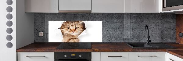 Achterwand keuken Kat