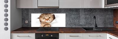 Achterwand keuken Kat
