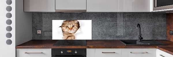 Achterwand keuken Kat