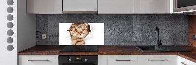 Achterwand keuken Kat