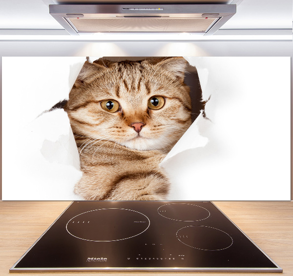 Achterwand keuken Kat